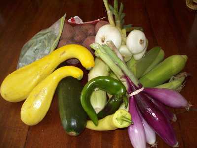 Produce from Farmer's Market