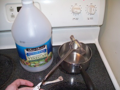 Bone in vinegar