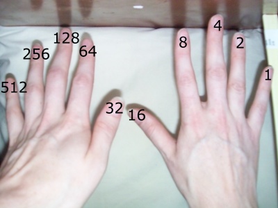 binary place values on two hands