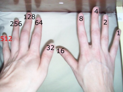 binary place values on two hands