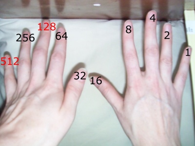 binary place values on two hands