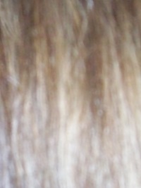 Hair Sample 