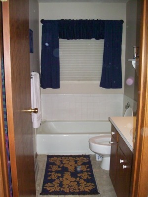 Bathroom in House of Dreams