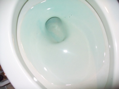 Toilet bowl with blue dye