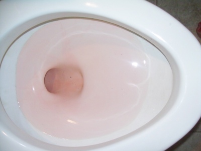 back of toilet bowl