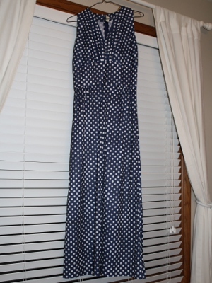 Navy and White Dress