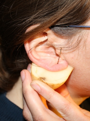 Piercing ear with needle and potato