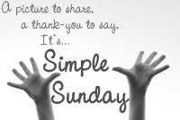 Simple Sunday icon