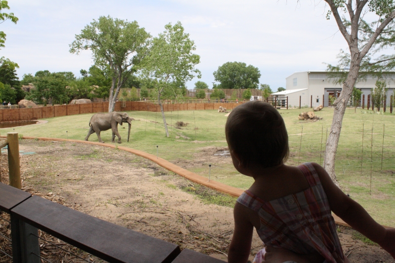 Tirzah Mae inspects the elephant