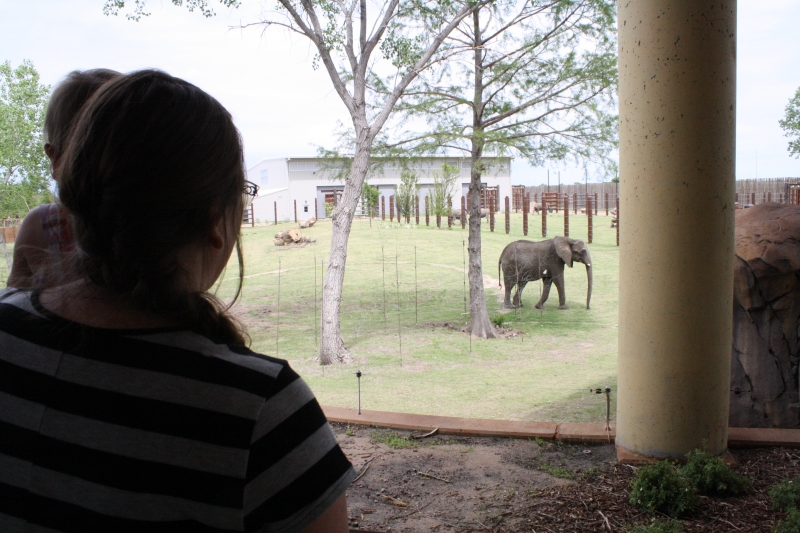 Tirzah Mae and Mama enjoy the elephant