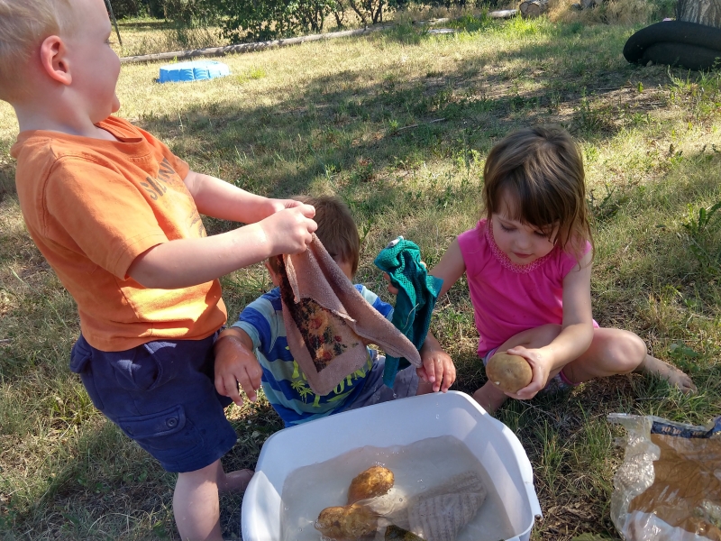 The kids "scrubbing" potatoes