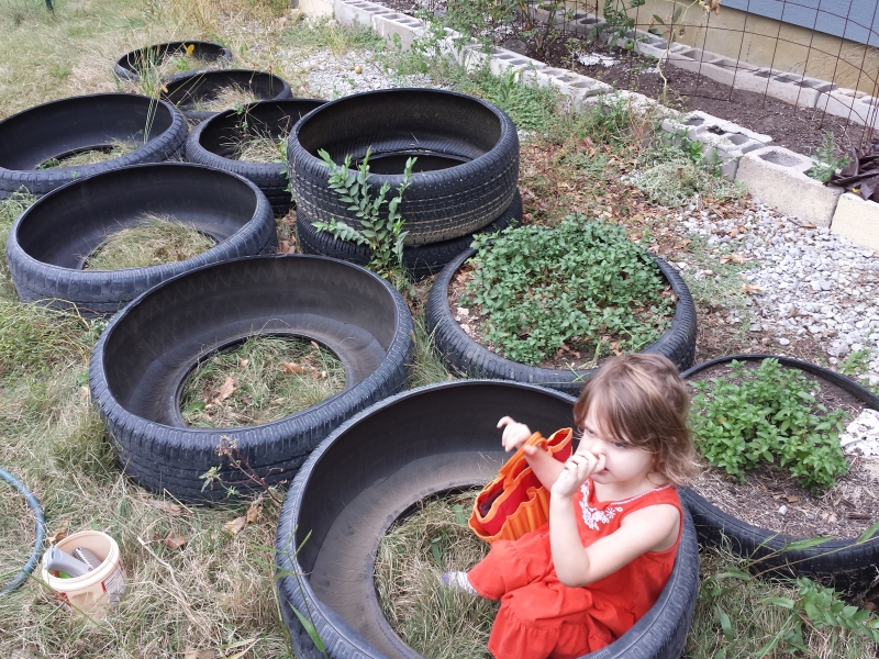 My tire herb garden expansion