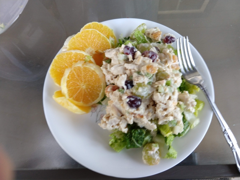 Chicken Salad on lettuce with Orange slices