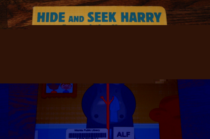 Hide and Seek Harry around the House