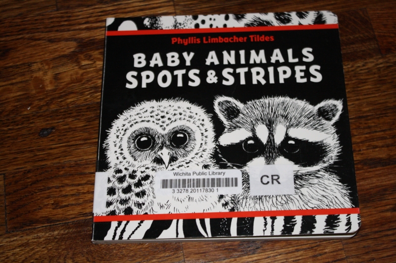 Baby Animal Spots and Stripes