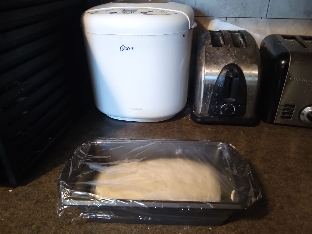 Dough straight out of the breadmaker (pictured in background)