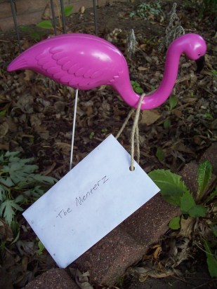 flamingo with note around its neck