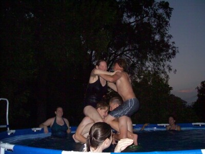 Chicken Fights