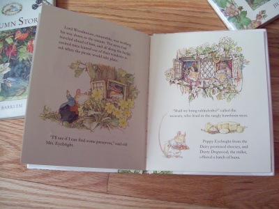Brambly Hedge Illustrations
