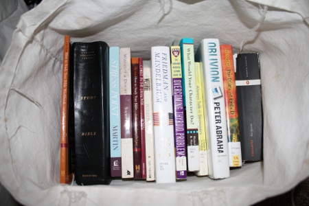 Books In Progress